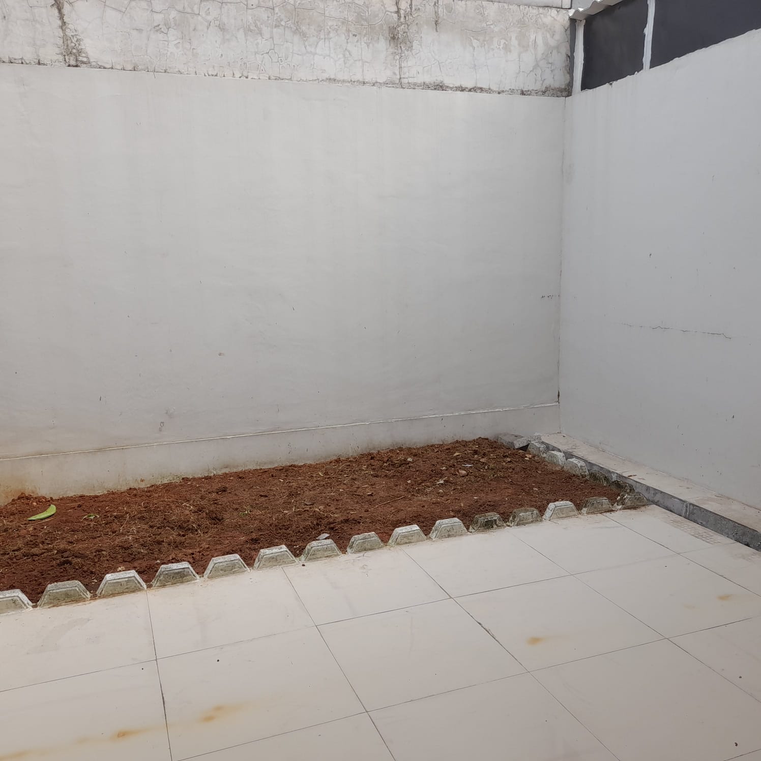 Rumah Disewakan di Cluster Patio Lippo Cikarang
